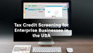 Tax Credit Screening for Enterprise Businesses in the USA