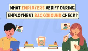 What Companies Verify During Employment Background Check in the USA